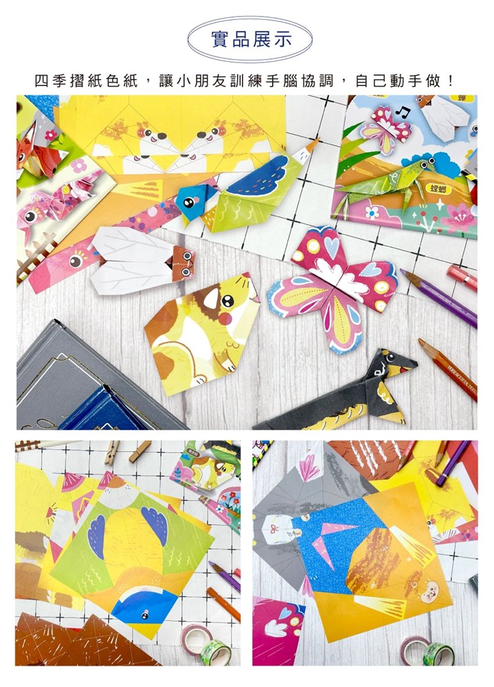 校園網路書房>>商品詳細資料>>色紙/GT2541-61/摺紙色紙-昆蟲- 校園網路書房