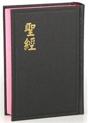 聖經(和合本.小型.紅字版.神版) CU53AR