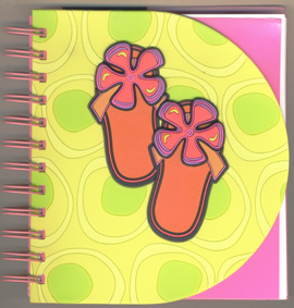 經文筆記/A88447/FLIP FLOPS